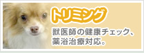 トリミング　獣医師の健康チェック、薬浴付き。