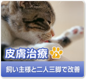 皮膚治療　飼い主様と二人三脚で改善