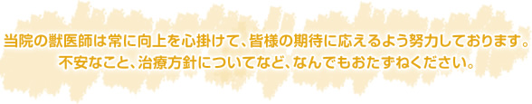 当院の獣医師は常に向上を心掛けて、皆様の期待に応えるよう努力しております。不安なこと、治療方針についてなど、なんでもおたずねください。