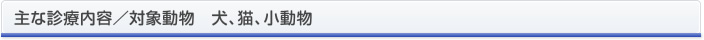 主な診療内容／対象動物　犬、猫、小動物 