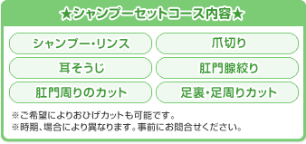 シャンプーセットコース内容