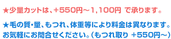 ★少量カットは、+550円～1,100円 で承ります。★毛の質・量、もつれ、体重等により料金は異なります。お気軽にお問合せください。（もつれ取り +550円～）