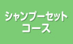 シャンプーセットコース