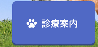 診療案内