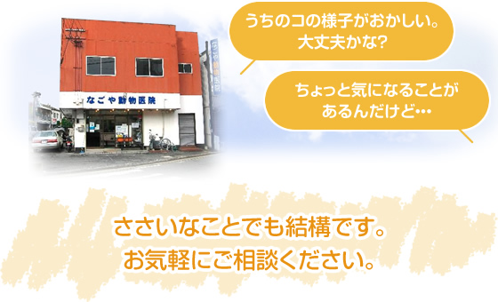 うちのコの様子がおかしい。大丈夫かな？　ちょっと気になることがあるんだけど・・・　ささいなことでも結構です。お気軽にご相談ください。